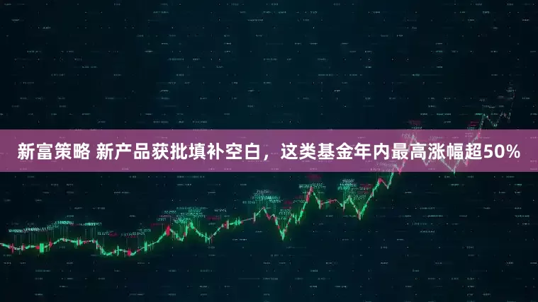 新富策略 新产品获批填补空白，这类基金年内最高涨幅超50%