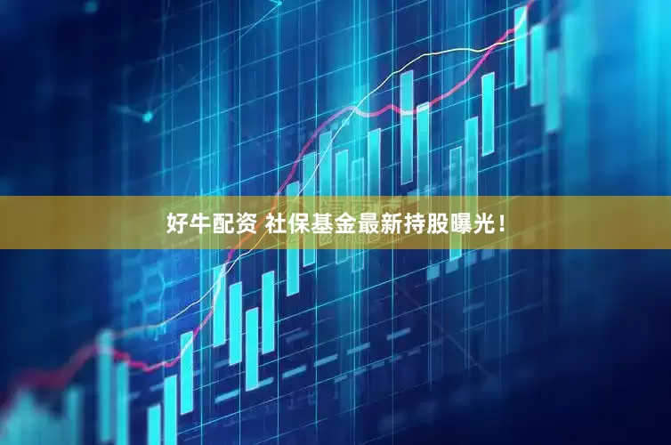 好牛配资 社保基金最新持股曝光！