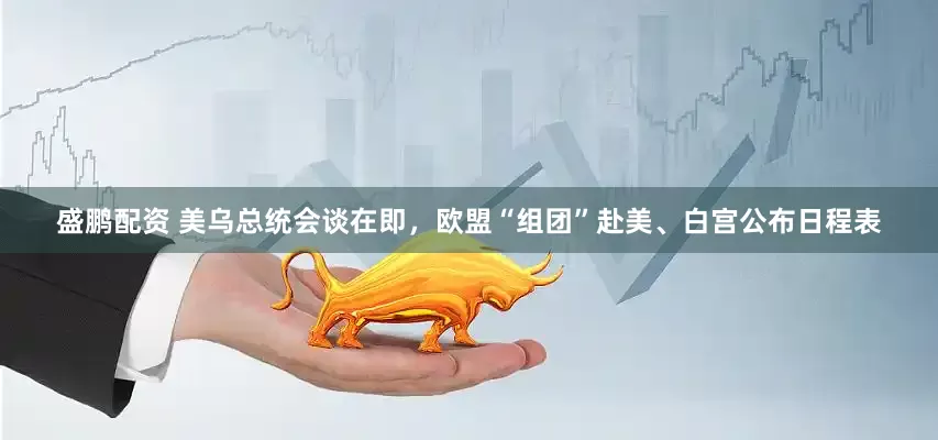 盛鹏配资 美乌总统会谈在即，欧盟“组团”赴美、白宫公布日程表