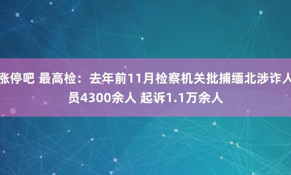 涨停吧 最高检：去年前11月检察机关批捕缅北涉诈人员4300余人 起诉1.1万余人